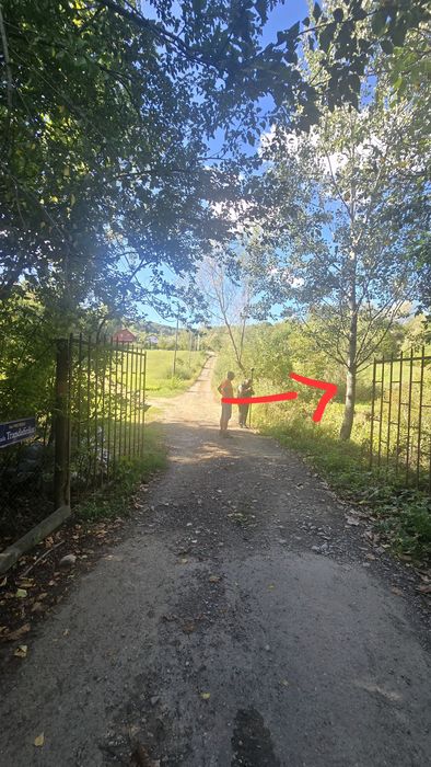 Loturi teren Poiana Campina, 30eur/mp,apa,curent,gata pentru construir