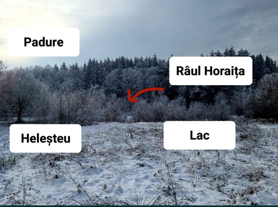 Lac cu pește, heleșteu, râu, peisaj de basm