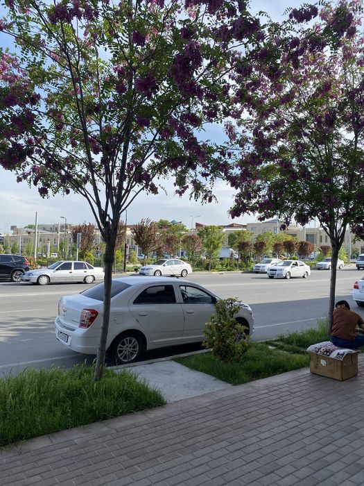 Сдаётся  в аренду