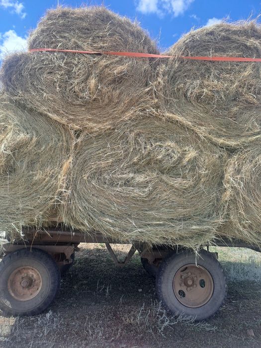 Сено разнотравья