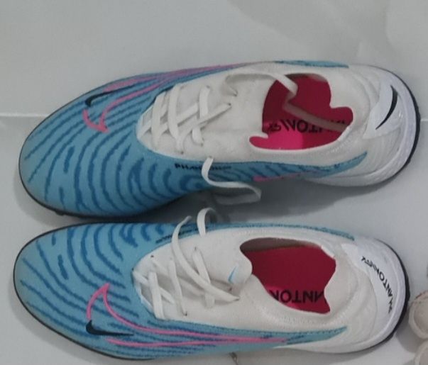 Сороконожки сатам