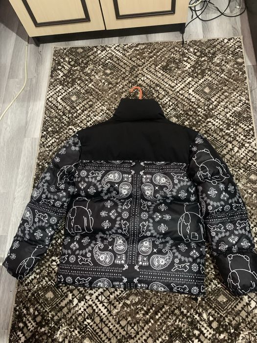 Geaca The north face