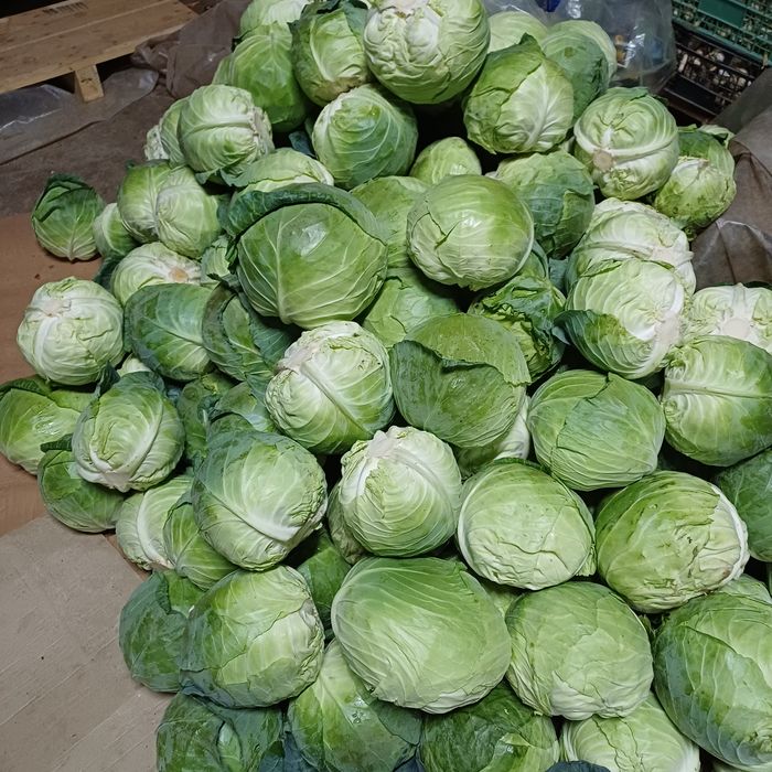 Varza de toamna de vanzare