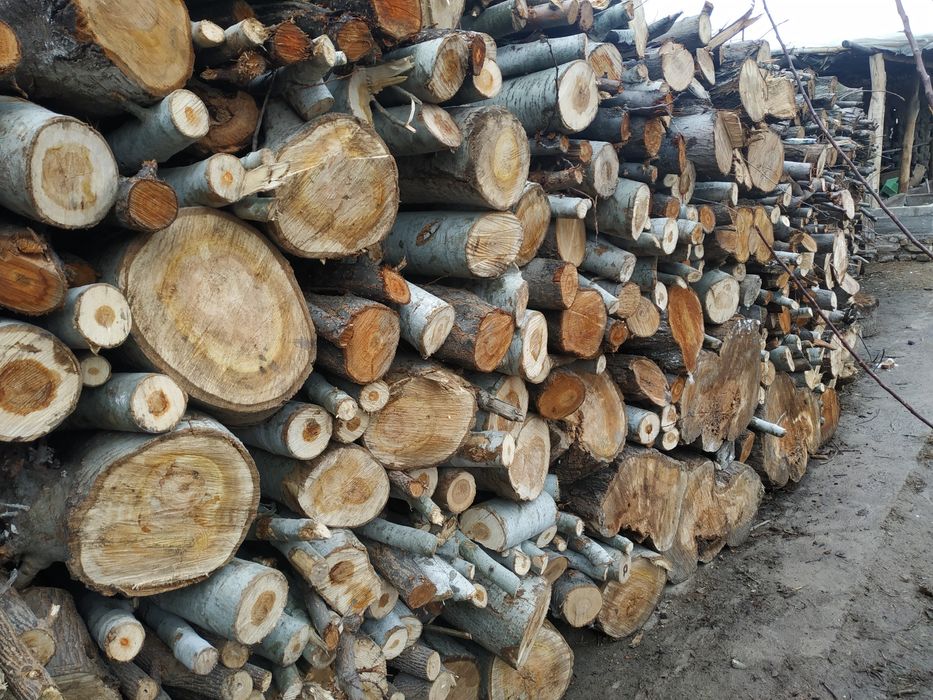 Otin sotiladi. Mevali va mevasiz.