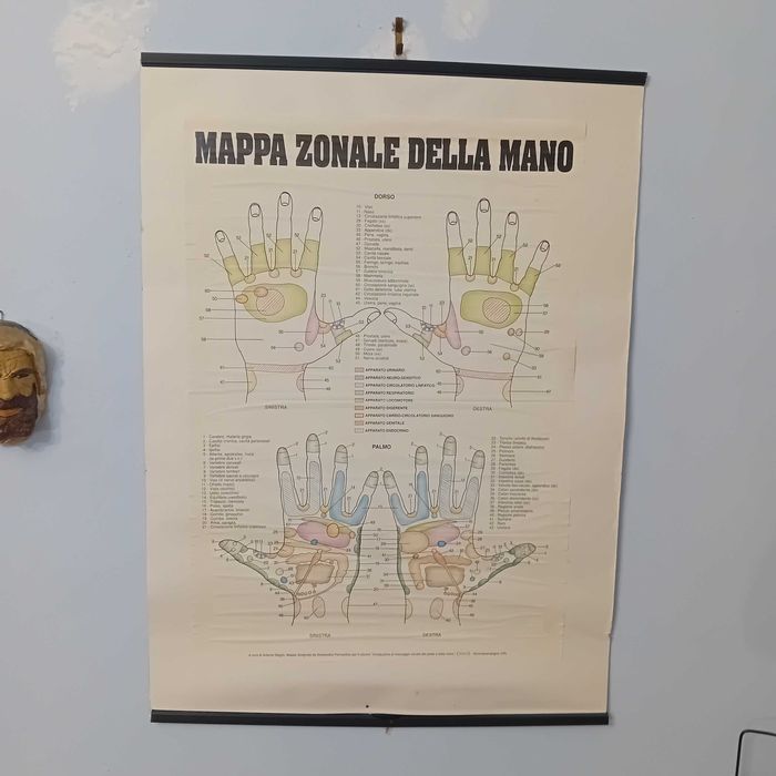 postere de fizioterapie / masaj  din Italia