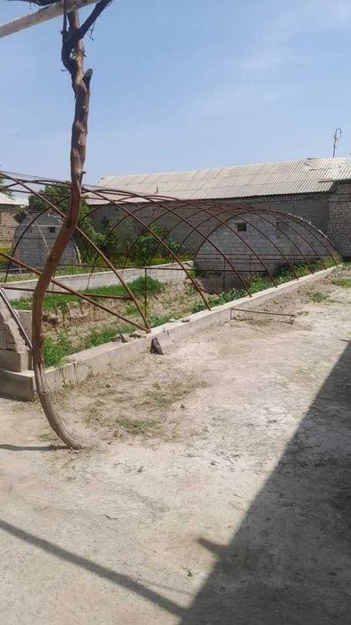 Теплица ( Issiqxona )