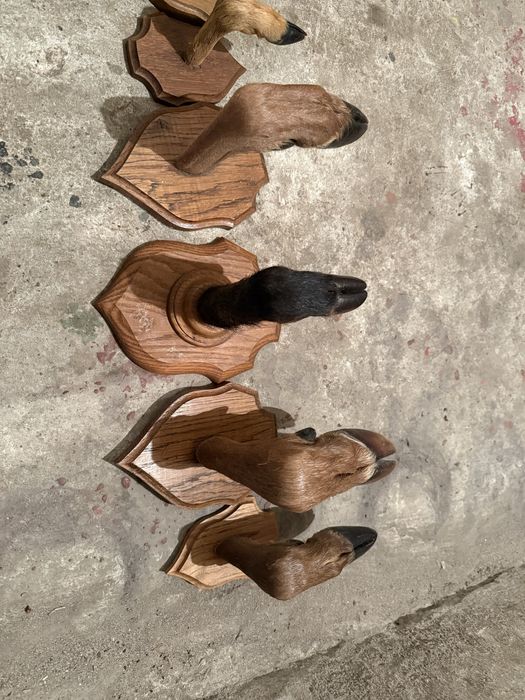 Продавам закачалки от крачета