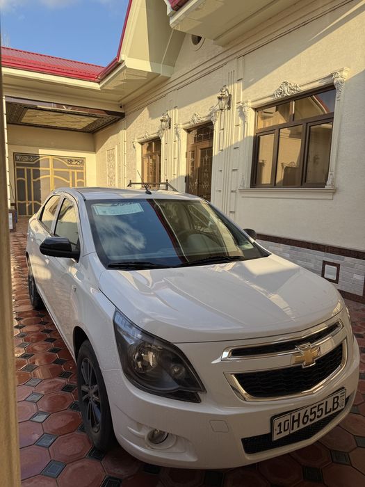 Cobalt 2025/2026 Midnight