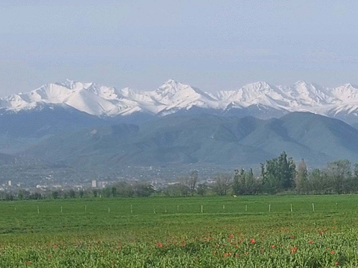 Срочно продам дачу в Батане