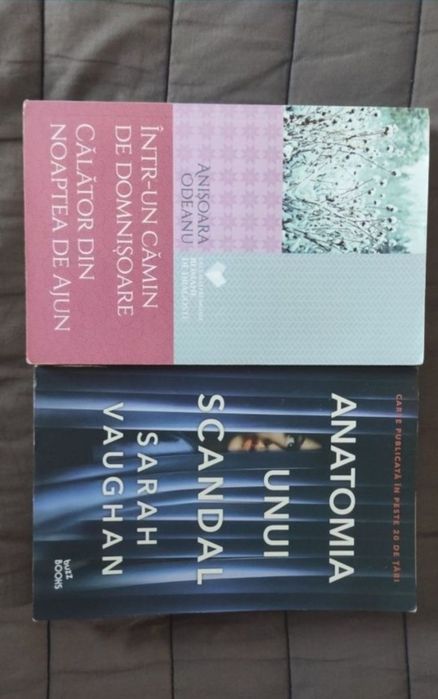 Lot cărți beletristica