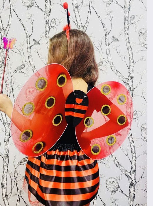 Карнавальный костюм Божья Коровка