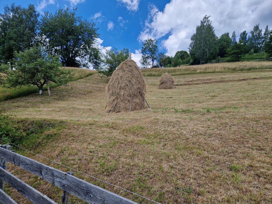 Casa de vinzare Horea