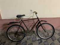 Velik sotiladi 450.000ming kami bor