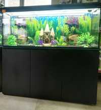 Продажа аквариумов в Аква- Зоо салоне " Посейдон"!!!