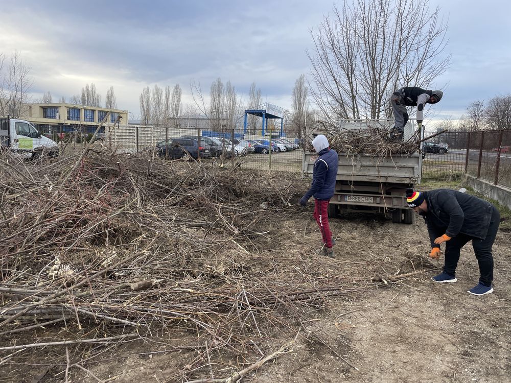 Defrisare evacuare debarasare vegetatie si lastaris