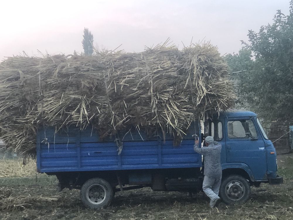 Авиа газел