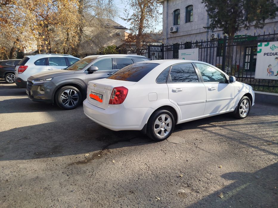 Жентра 2015 2-позится краскаси тозза