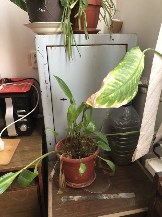 Продаю сейфы б/у.