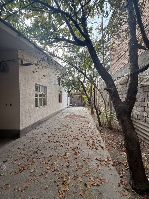 Uy, xovli Mirzo ulugbek