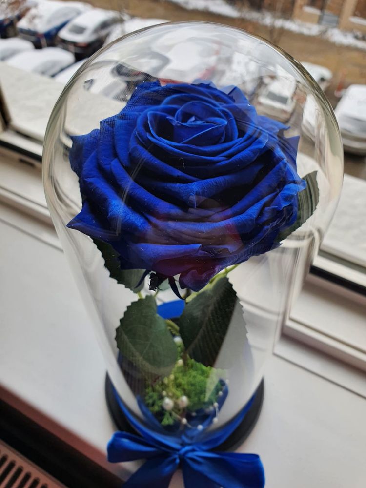 Trandafir conservat in bol de sticla ideal pt cadou rezistent in timp