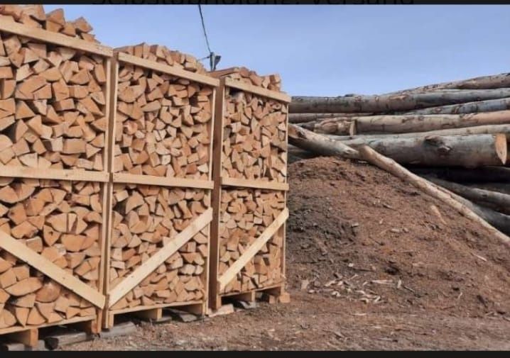 Lemne de foc fag esenta tare