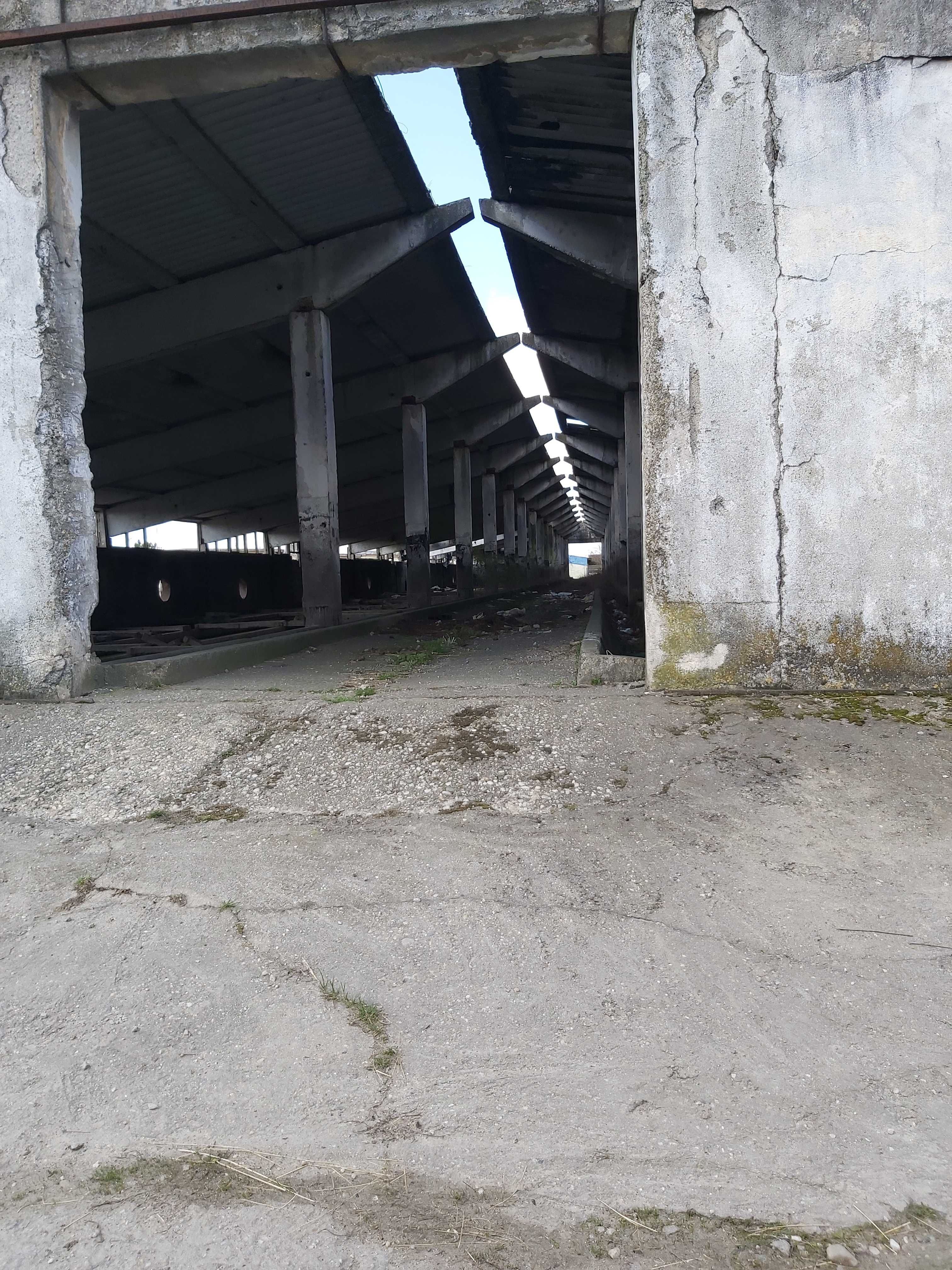 Vanzare hale dezafectate zona industriala Cateasca langa A1 km 94
