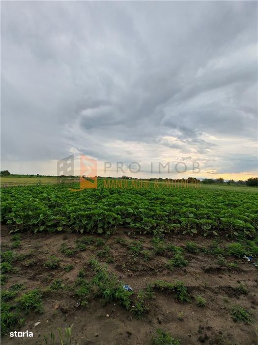 Teren generos in apropierea autostrazii A7