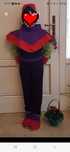 Costum elf copii 7-9 ani