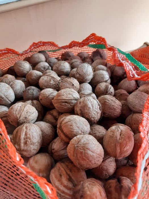 Грецкие орехи урожай 2025г.