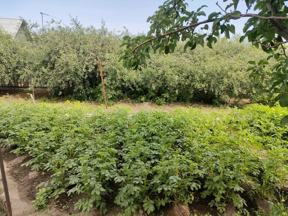 Продам дом. Зимный вариант.