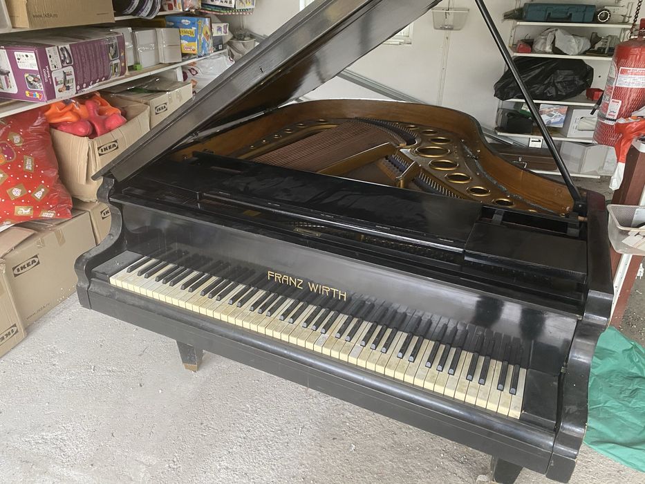 Pian Frantz Wirth placa bronz