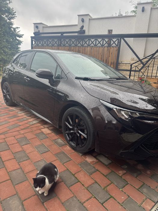 Toyota corolla hybrid