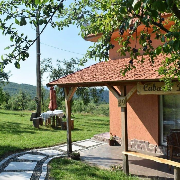Cabană de închiriat! Cabana Dănuț