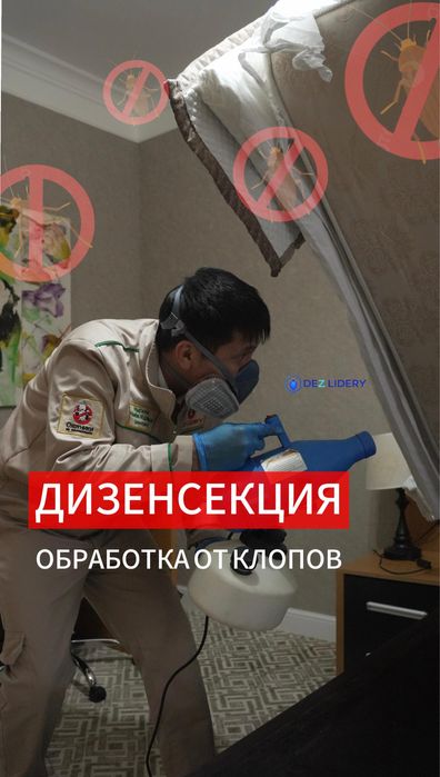 Дезинфекция уничтожение насекомых клопов таракан Тараканов қандала