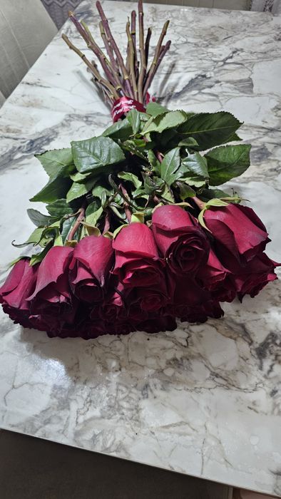 Продам свежие метровые розы