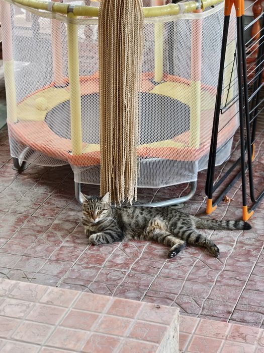 Батут - манеж продается