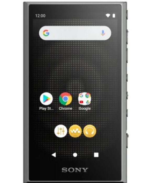 Player MP3 cu Wi-Fi SONY NW-A306 32GB negru