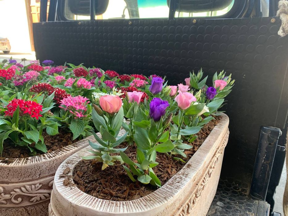 Archalar. Gazonlar. Gullar. Landshaft dizayn