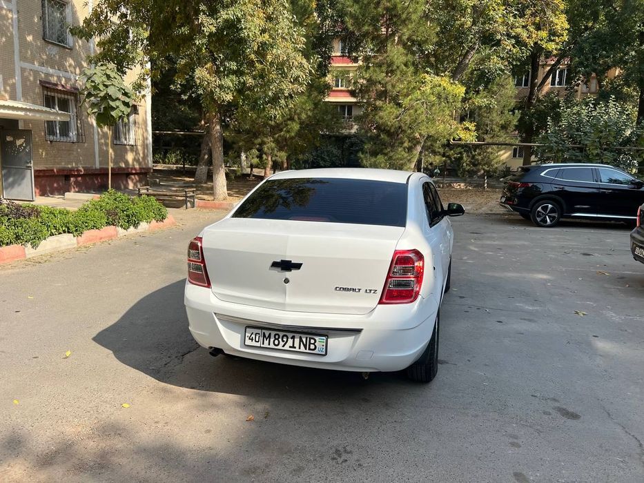 Tel qlila kelishamiz