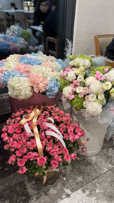 Продам цветы, подарили вчера