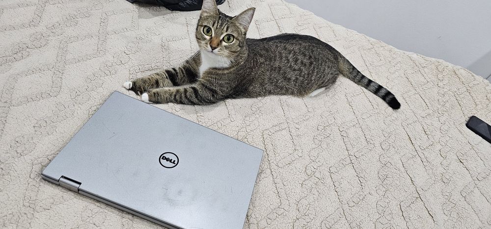 Продам ультрабук-трансформер Dell Inspiron 11