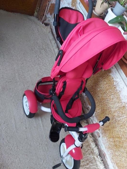 Триколка червен цвят