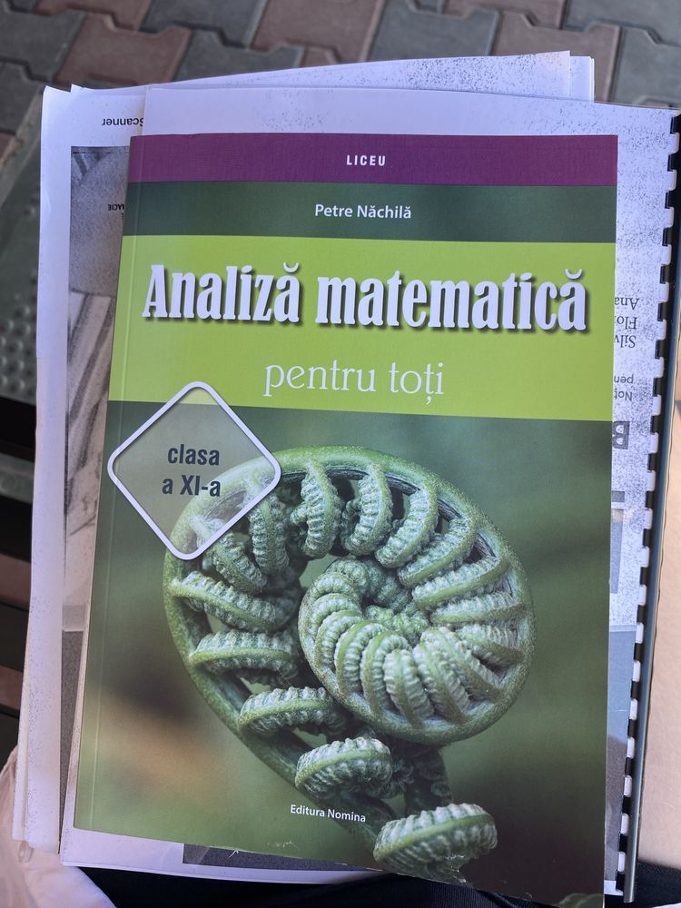 Culegere Analiză matematică clasa 11-a