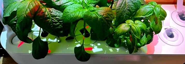 Sistem Smart Garden 9 (Bej) - Nou, Cultivă Fără Efort