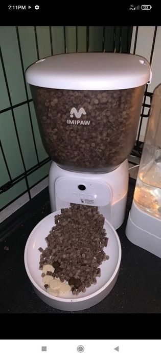 Хранилка за котки с камера