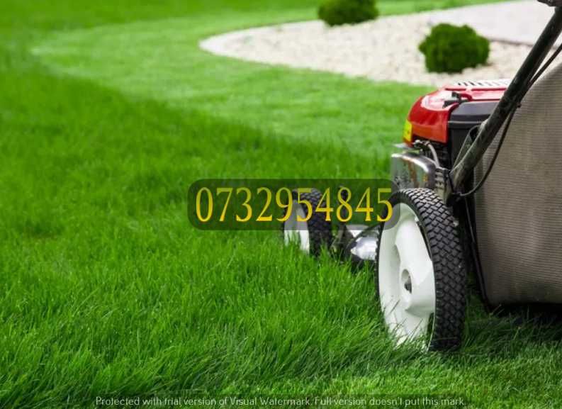 Gazon Natural Proaspăt – Ideal pentru Curți și Terase