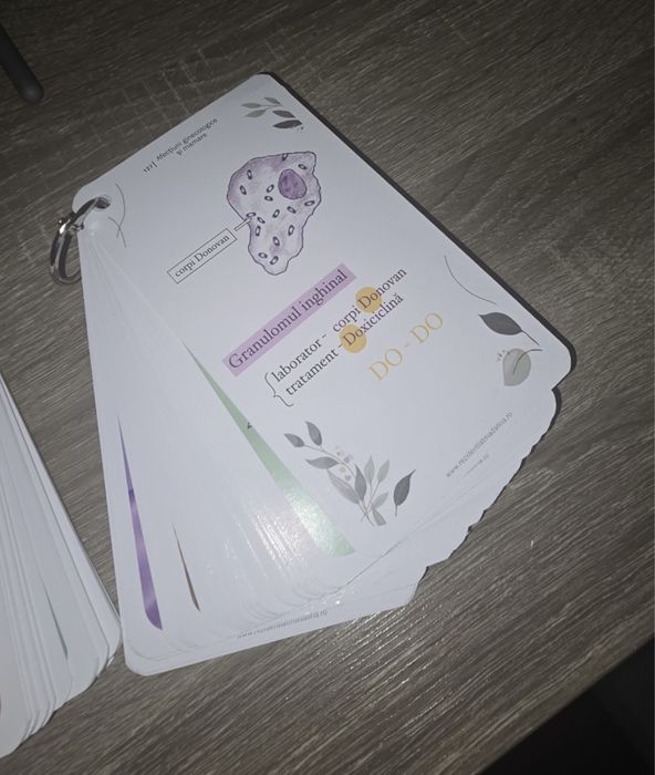 Flashcarduri  Sinopsis RezidentiatMadalina