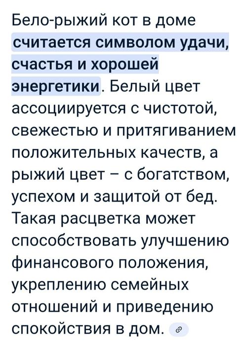 Митя ищет добрых хозяев.