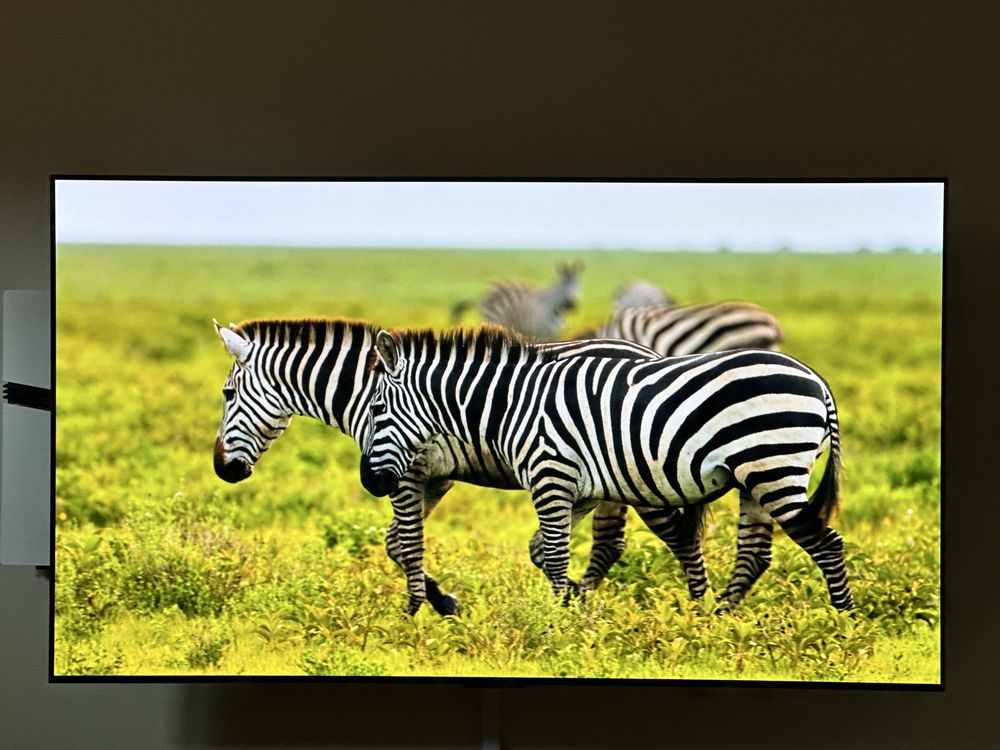 LG OLED C2 55''