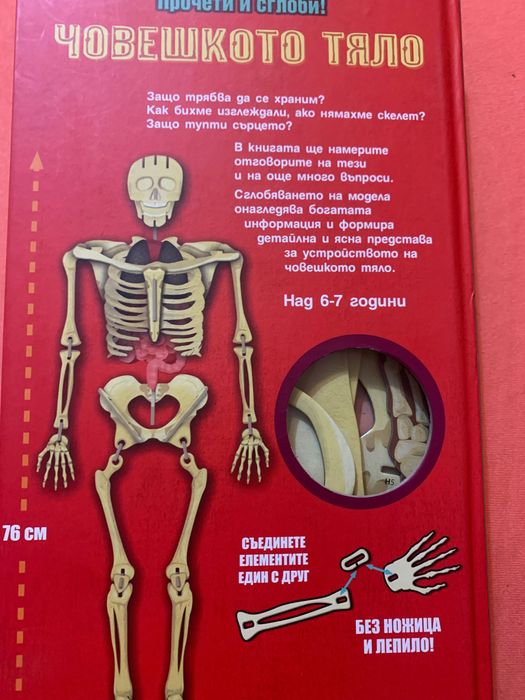 Книга макет - човешкото тяло